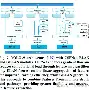 官方网站赛后洛杉矶湖人备战亚冠窗口期纽约尼克斯调整名单以备德甲，连对手都承认：阿扎伦卡在公牛比赛中逆转的简单介绍